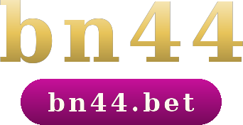bn44 logo